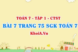 Bài 7 trang 75 SGK Toán 7 Chân trời sáng tạo tập 1